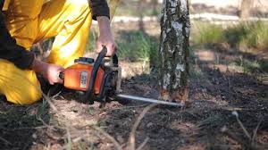 Lawn Maintenance Plans in Beaver Falls, PA